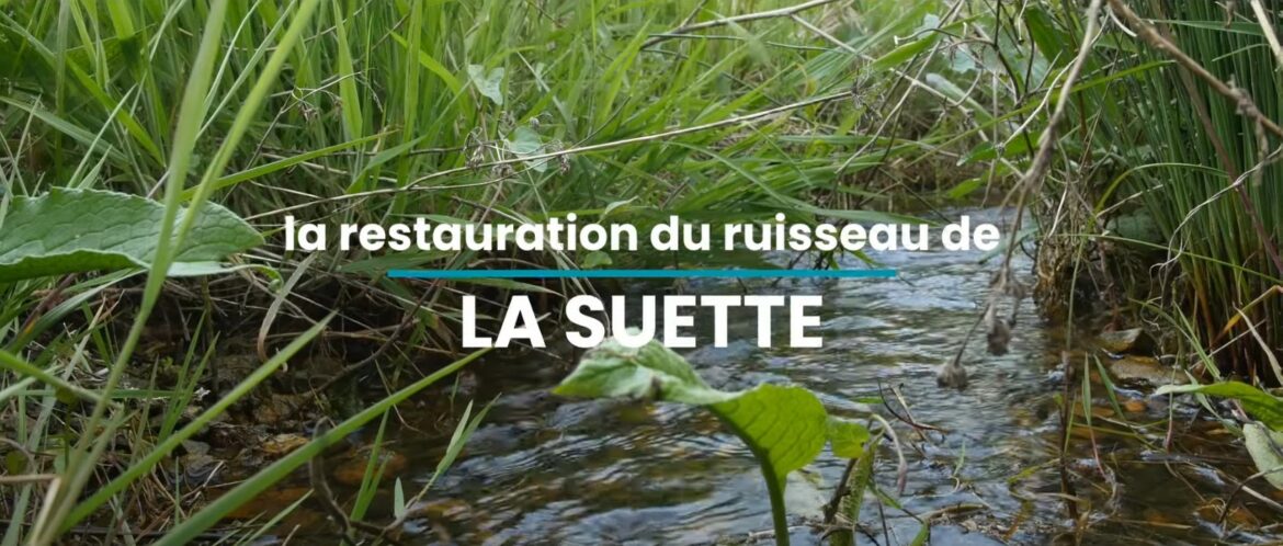 Ailleurs : Renaturation du ruisseau de la Suette